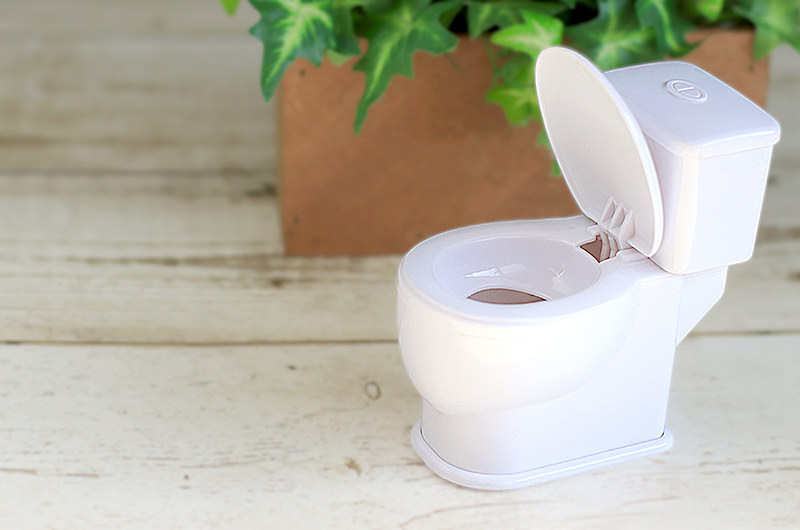 便が細くなったとは？